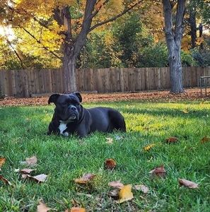 Meet your Posher, Eliuth